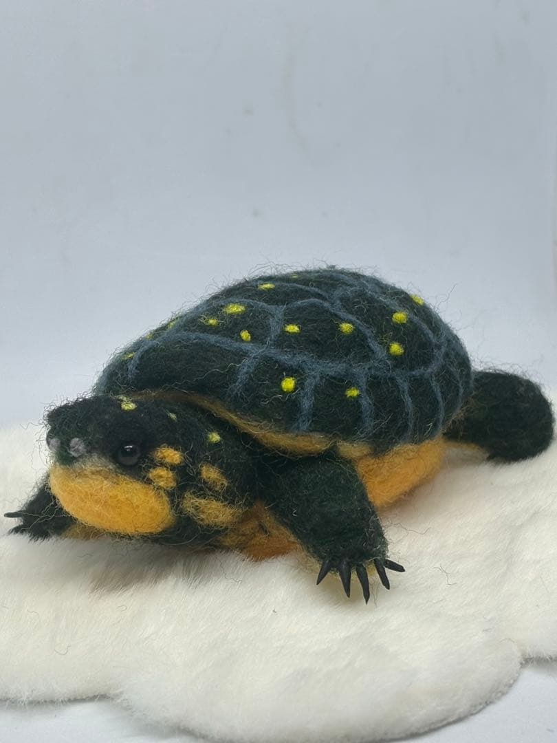 羊毛フェルト　ハンドメイド　キボシイシガメ