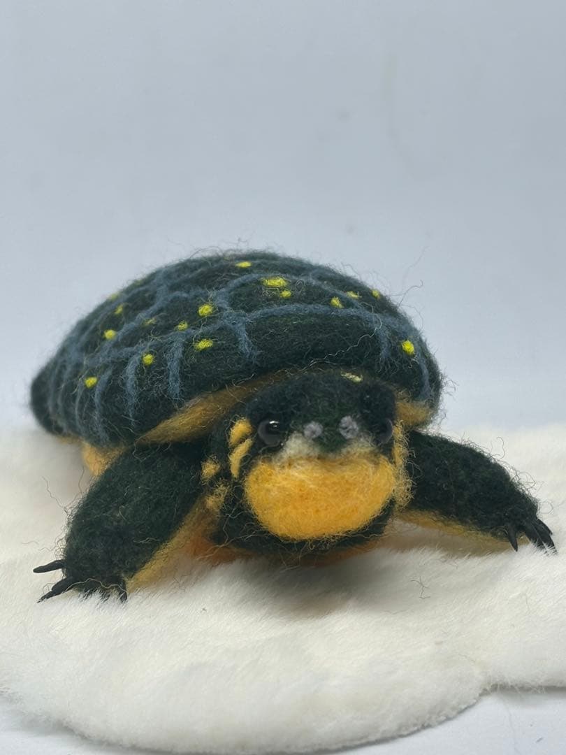 羊毛フェルト　ハンドメイド　キボシイシガメ