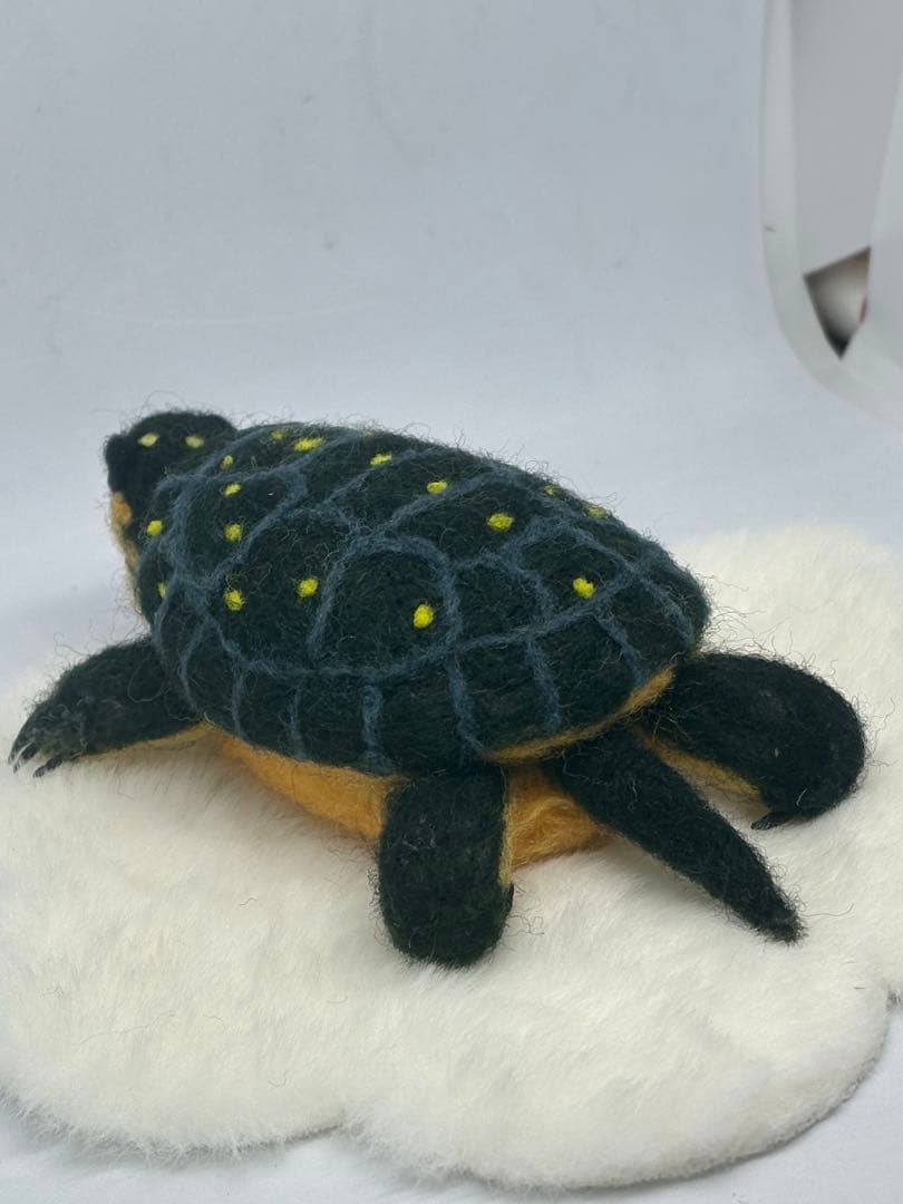 羊毛フェルト　ハンドメイド　キボシイシガメ