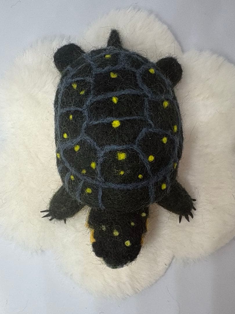 羊毛フェルト　ハンドメイド　キボシイシガメ