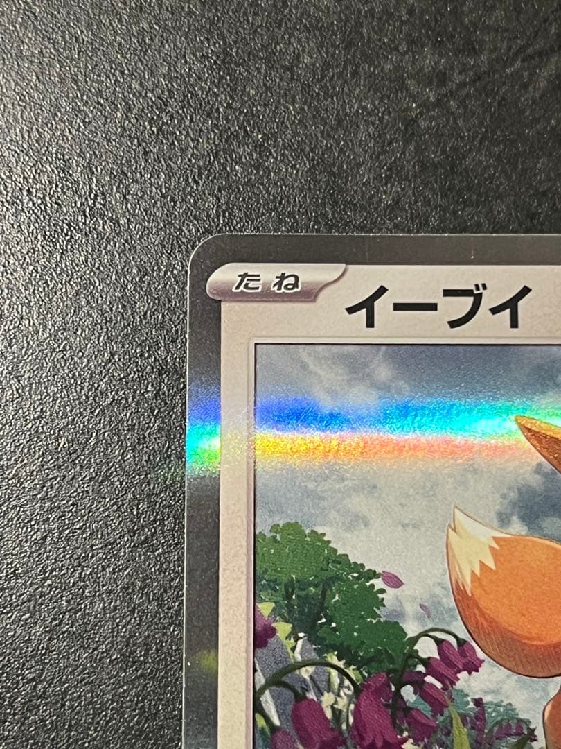 イーブイ 033/SV-P ポケモンカードゲーム教室