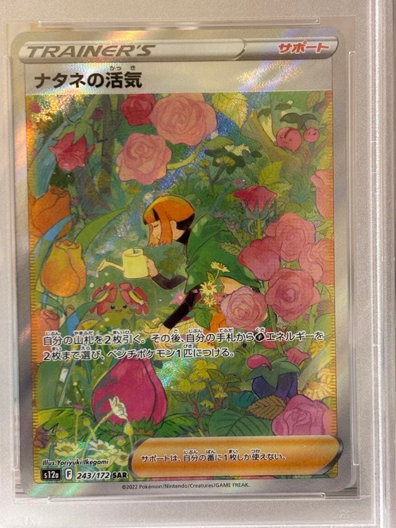 【最安値級】【即日発送】ナタネの活気 SAR PSA10 ポケモンカード