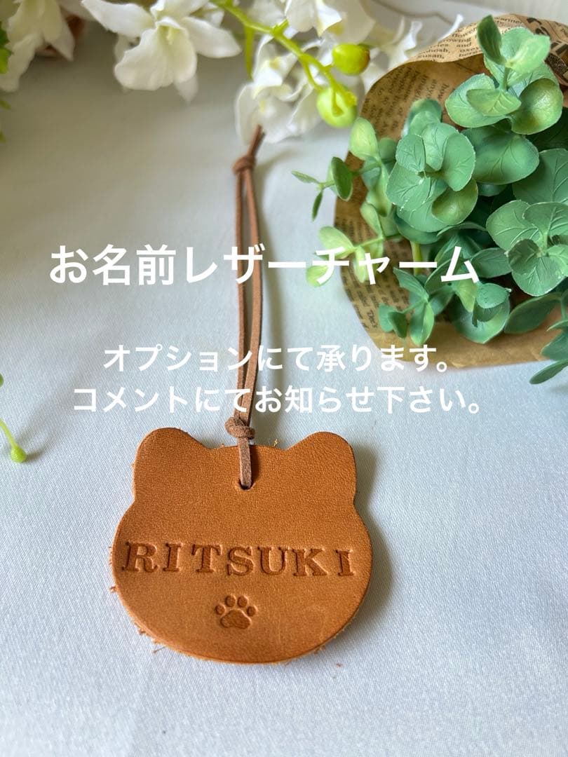 くまさんの入園入学3点セット ブラウン