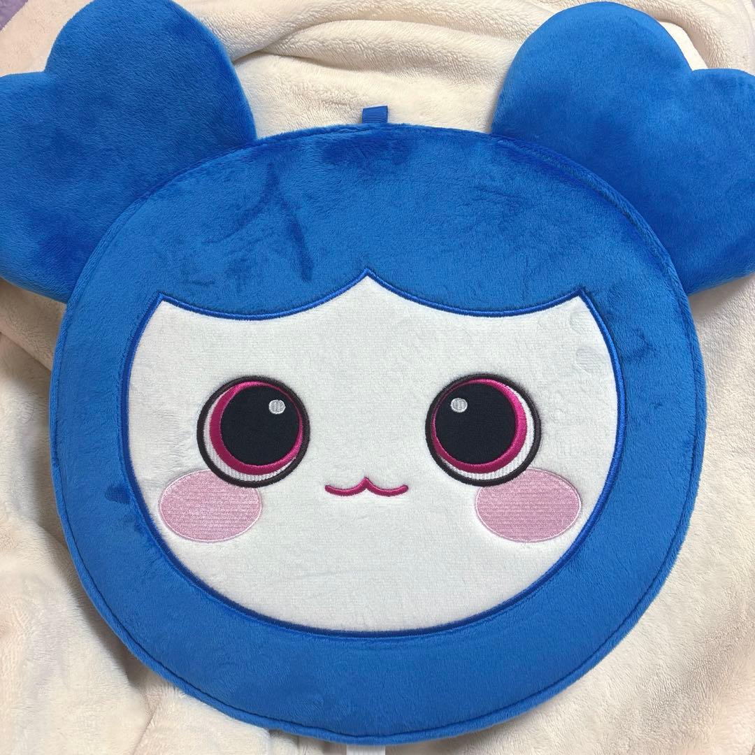 TWICE ツウィ　サイン入りうちわ＋うちわケース