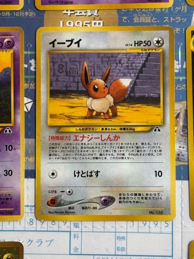 ポケモン カード ネオ (旧裏)プレミアムファイル2