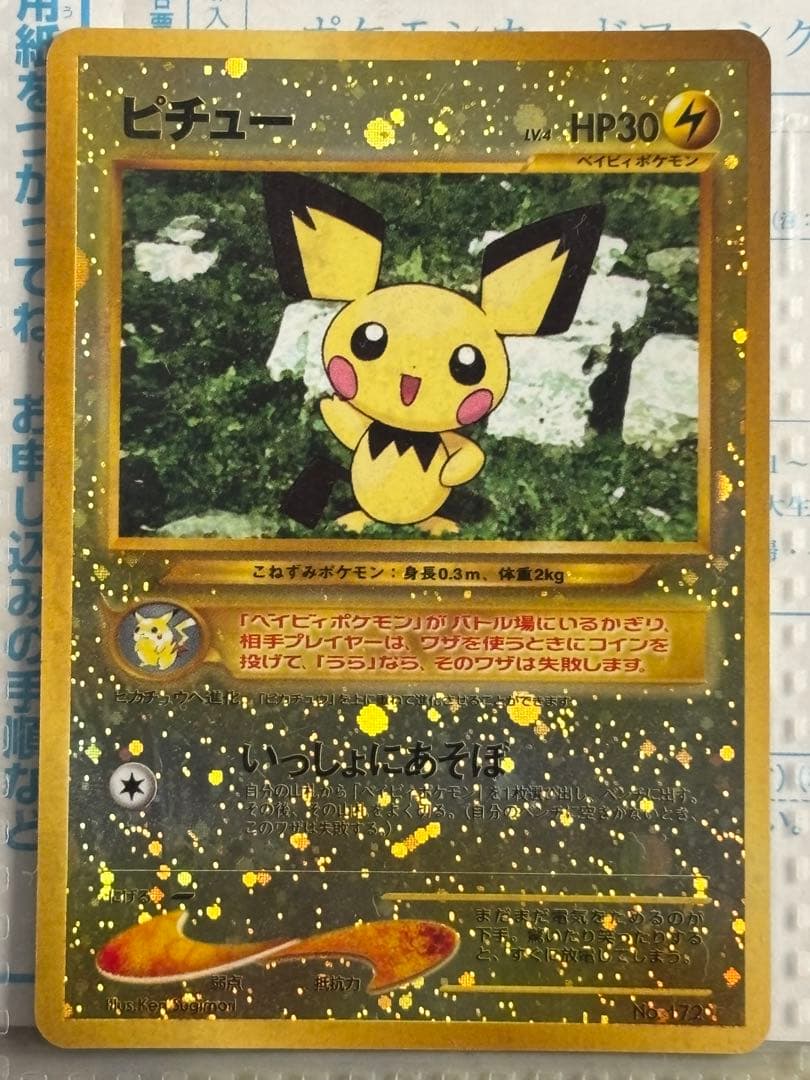 ポケモン カード ネオ (旧裏)プレミアムファイル2