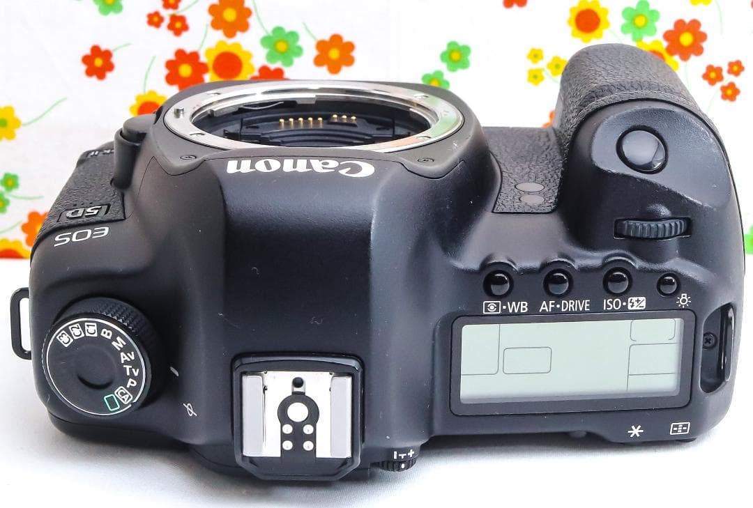 プク丸 Canon 5D MarkII☆ダブルレンズ！☆スマホに転送！
