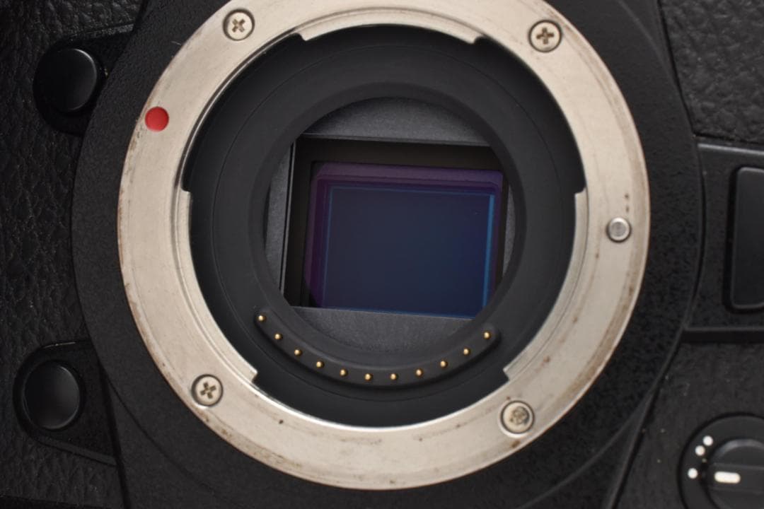 Panasonic LUMIX DC-G9 ボディ S数3724回 1209
