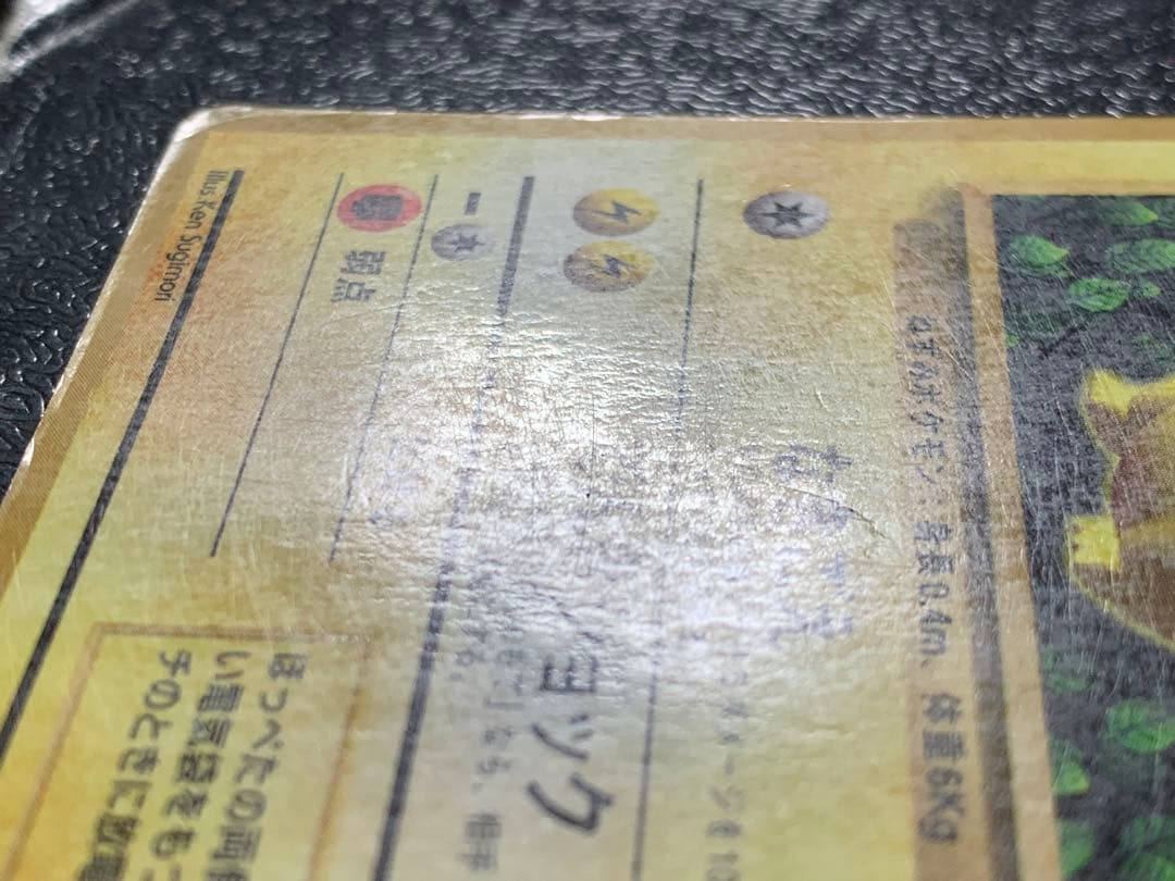ピカチュウ　ken Sugimori 光沢あり コロコロ