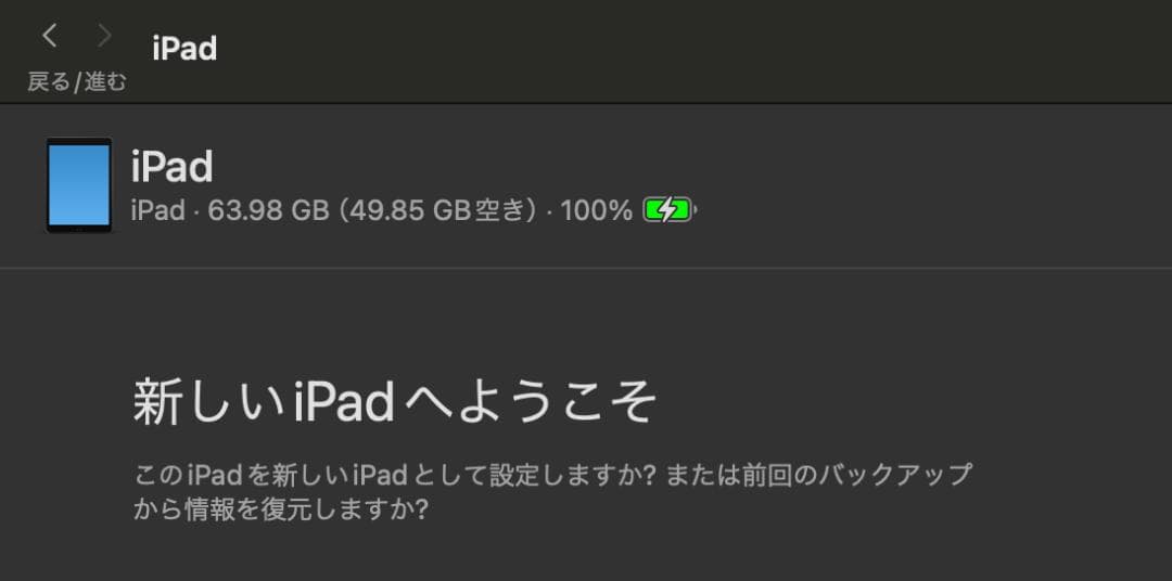 iPad 第9世代 スペースグレー (ジャンク)