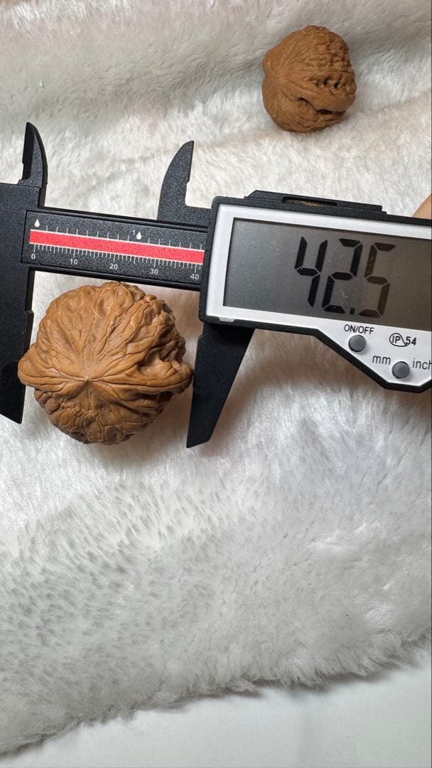 2025新商品:42铁锤妹妹2