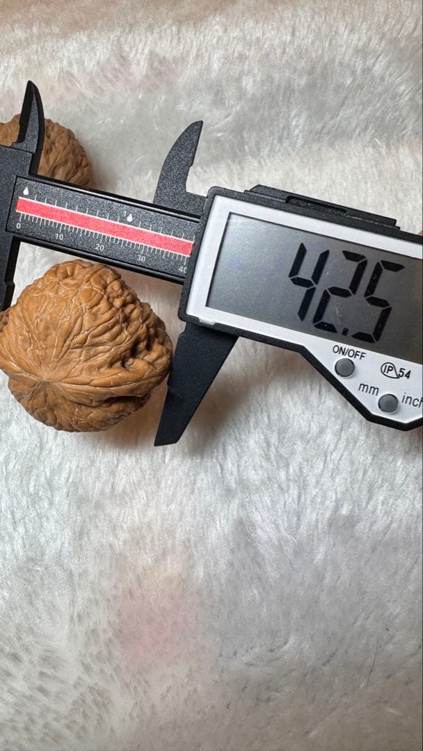 2025新商品:42铁锤妹妹2