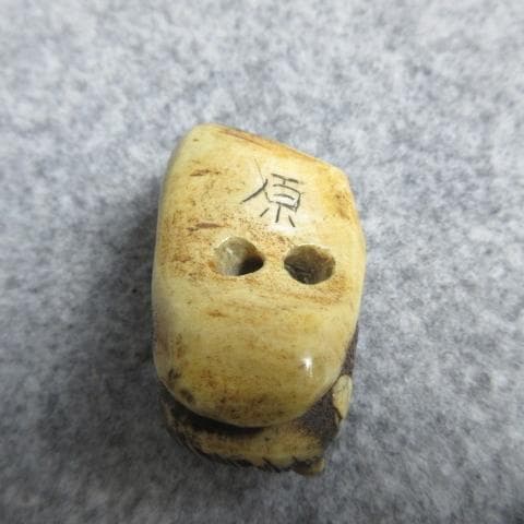 骨製貝根付 [B28710]