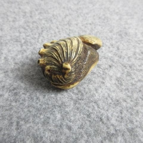 骨製貝根付 [B28710]