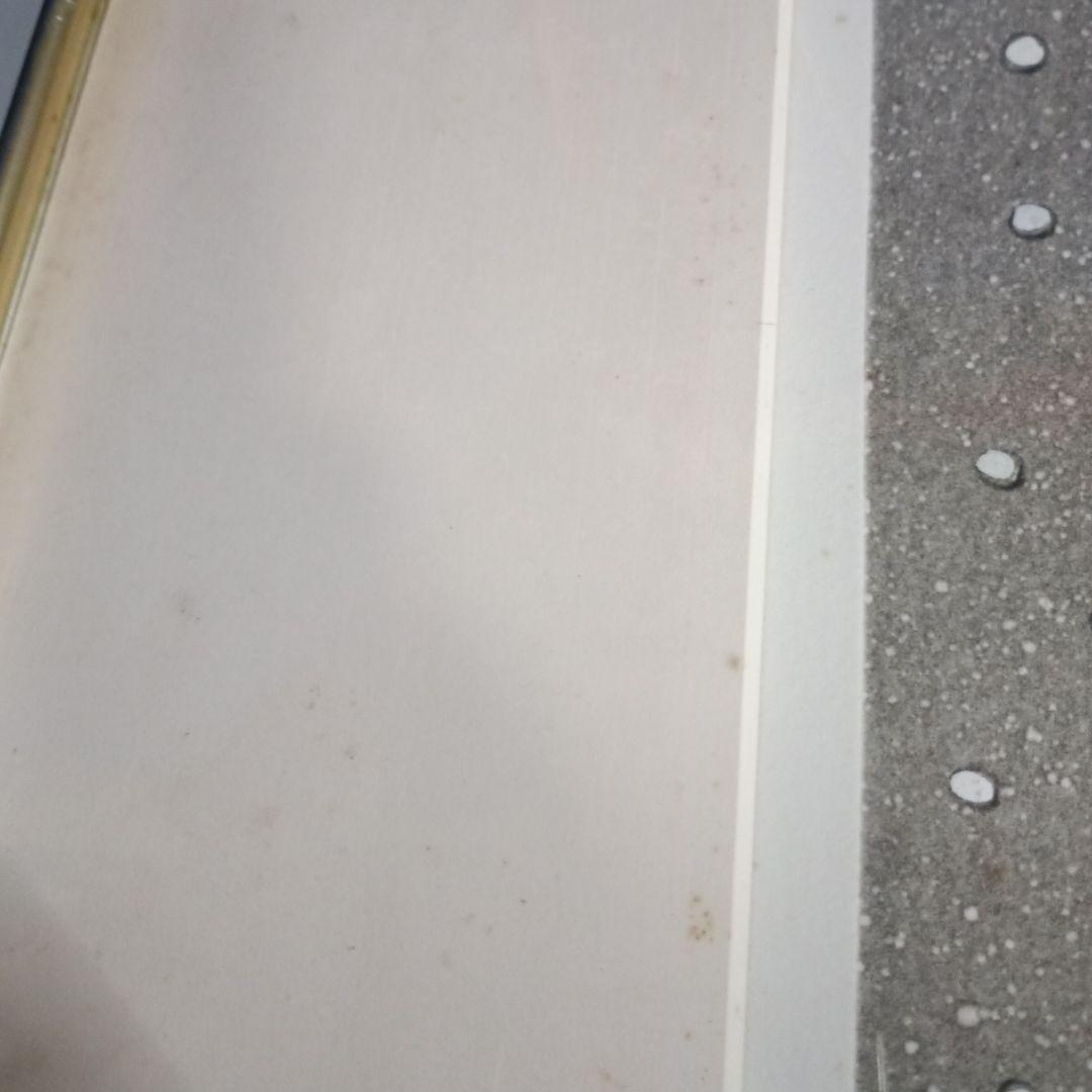 5669)デリア・レイス　版画「Winter Vacation」22/30