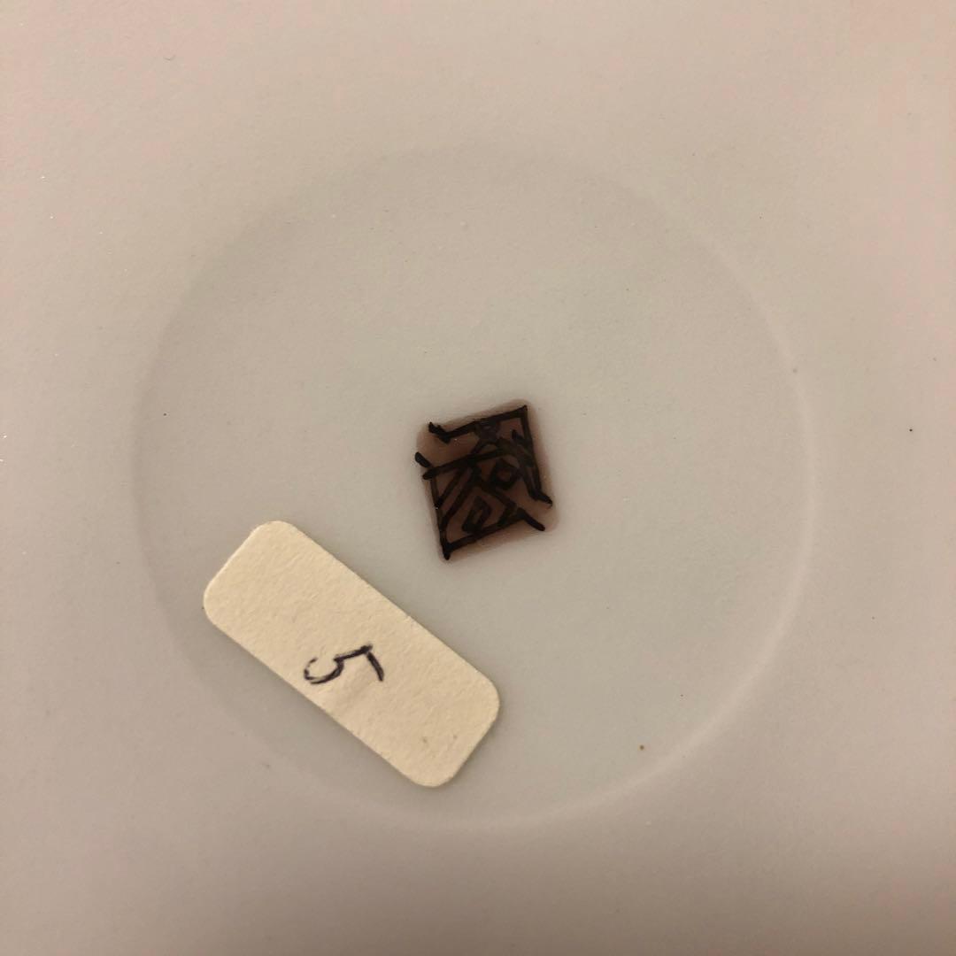 橋詰正英 作「彩絵紅葉」大皿 金彩 径27cm 師：人間国宝 藤本能道