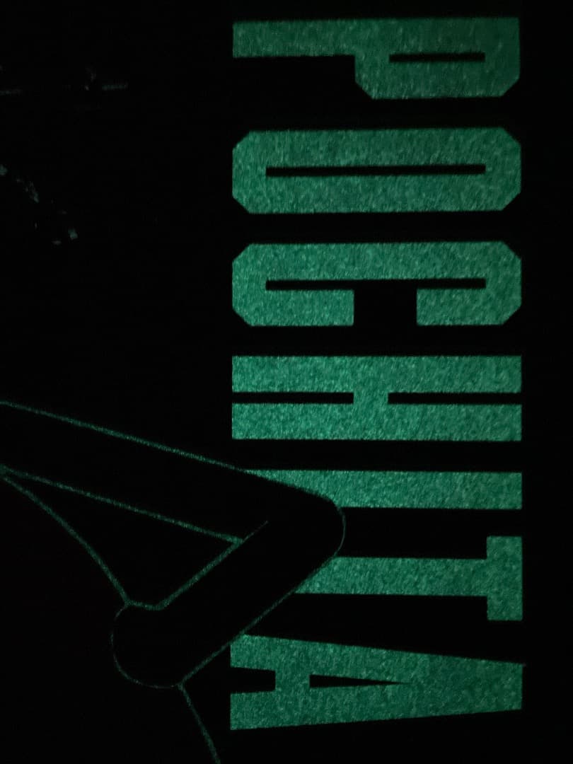 台湾劇場特典　チェンソーマン　蓄光A3ポスター　ポチタ