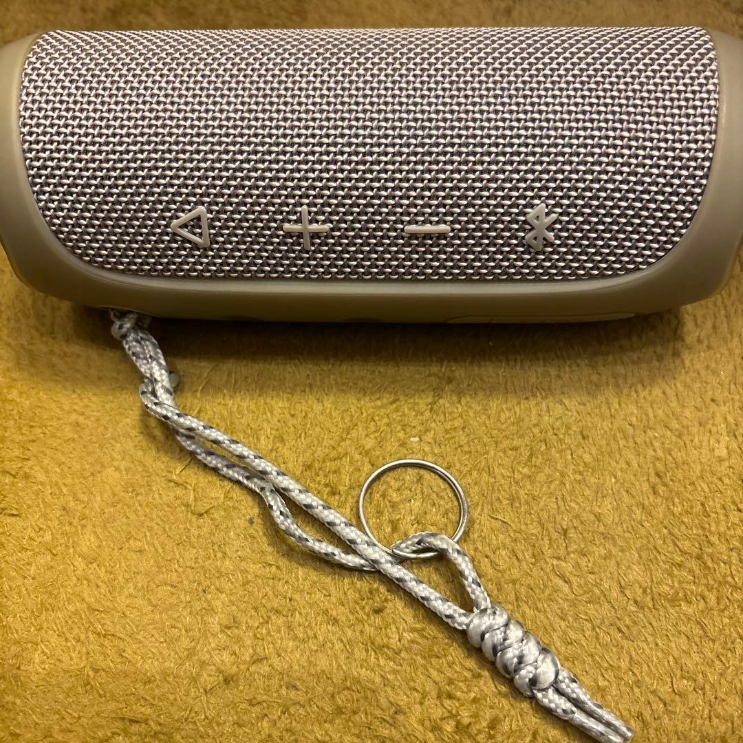 【毎日値下げ】収納ケース付きJBL ワイヤレススピーカー シルバー