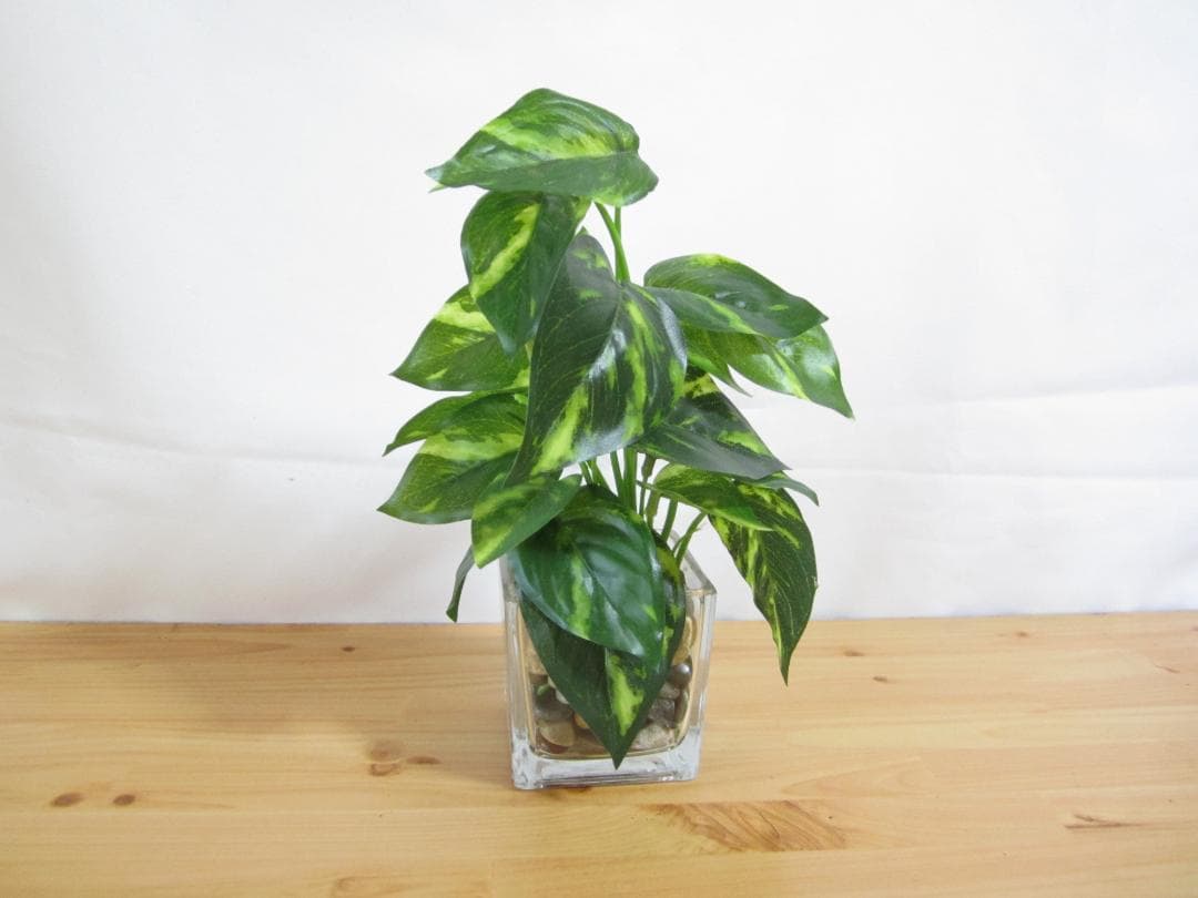 Nikon COOLPIX L20 コンパクカメラ コンデジ デジカメ