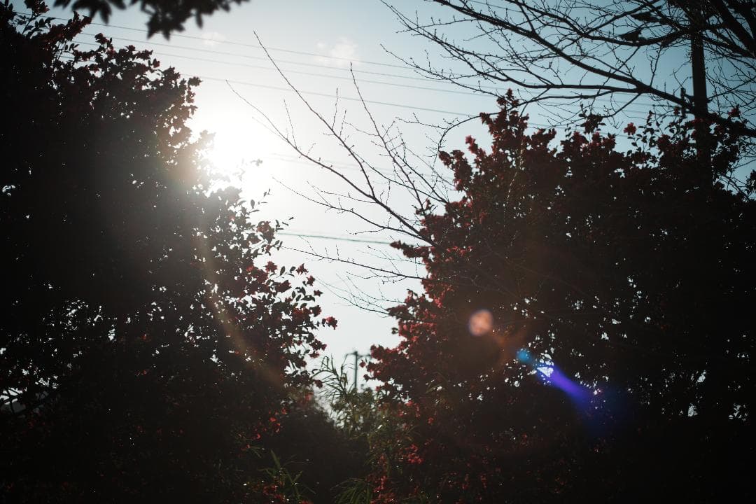 【この値段でライカ級】富岡光学製 XR RIKENON 50mm F2 389