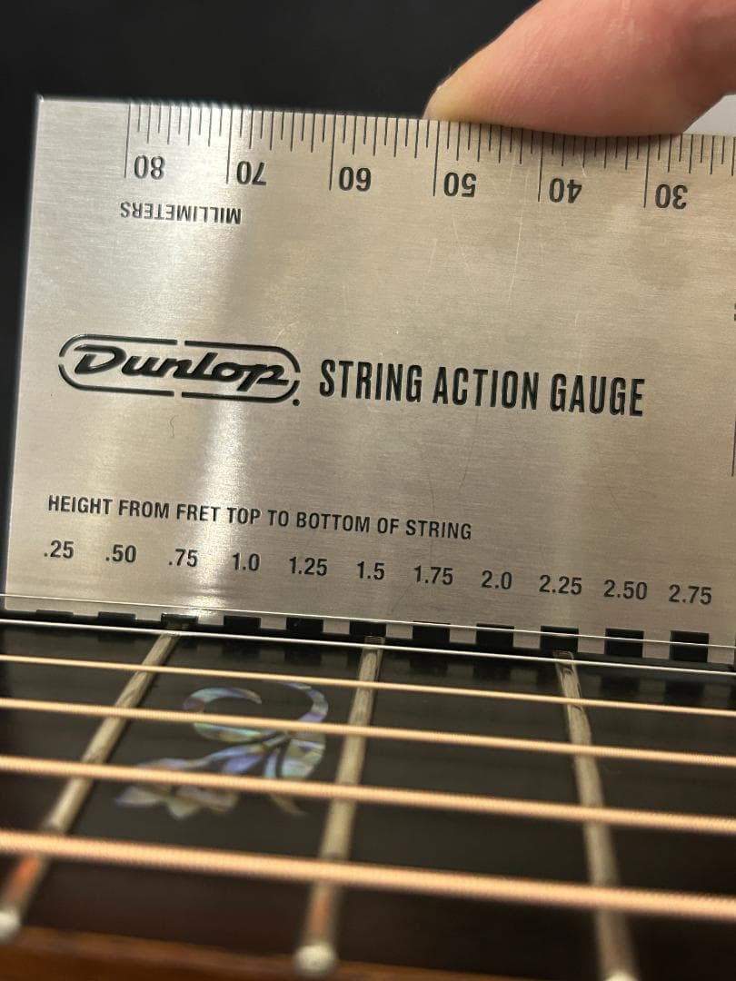 レア　名機　美音 Morris SS-101-III モーリス　エレアコ