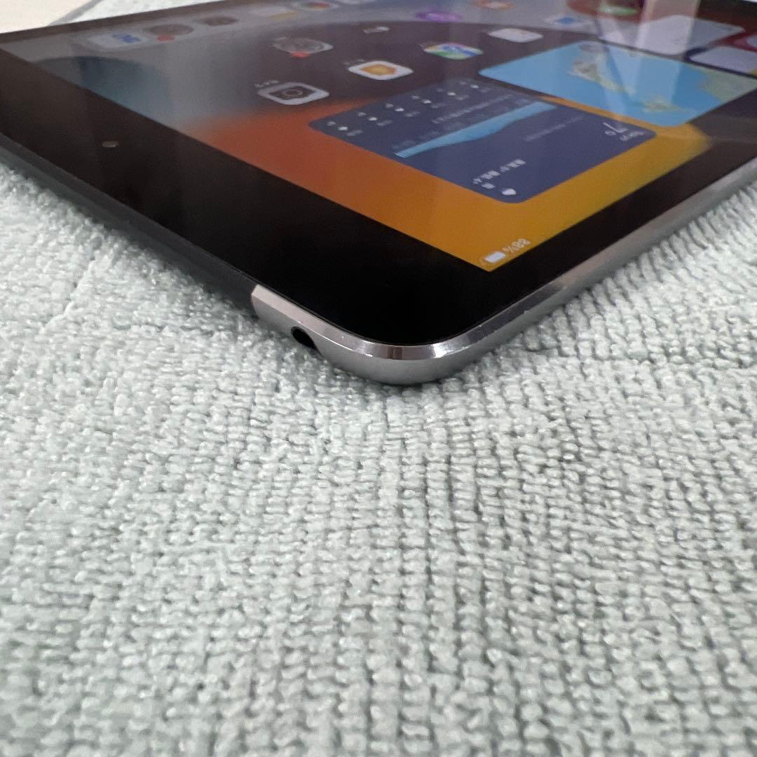Apple iPad mini 4 16GB セルラーモデル