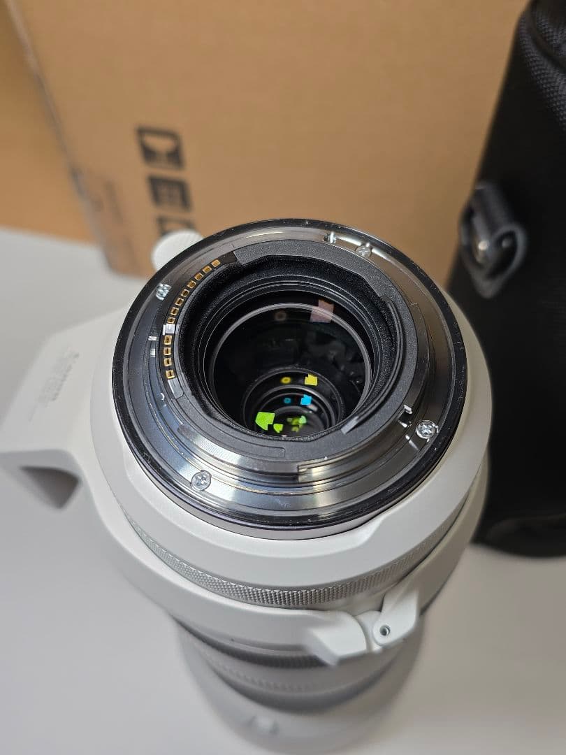 Canon RF100-500mm F4.5-7.1 L IS USM 極美品