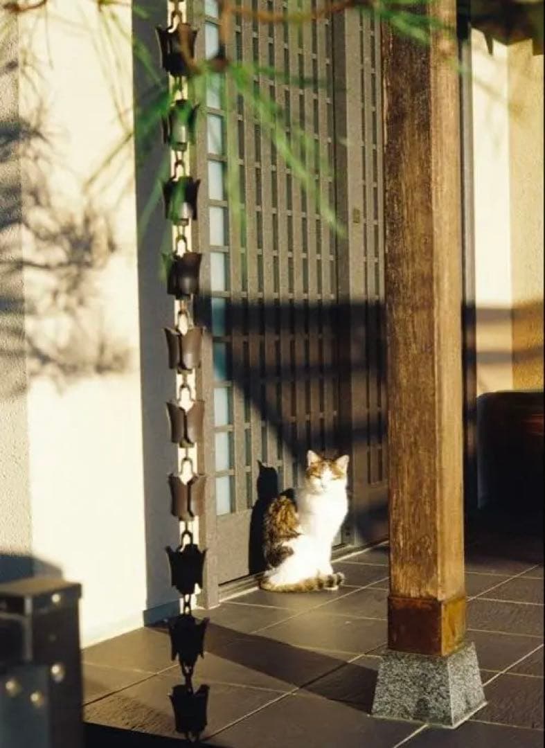 【試写済】Canon SERENAR 50mm F1.8 Lマウント