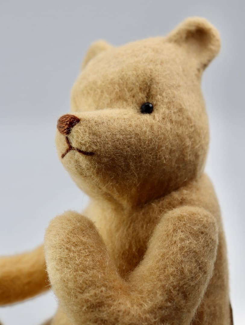 R. John Wright Silly Old Bear '98/99クラブ