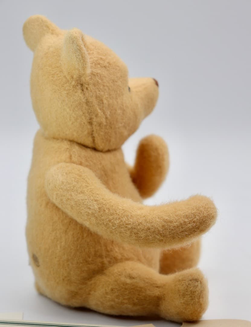 R. John Wright Silly Old Bear '98/99クラブ