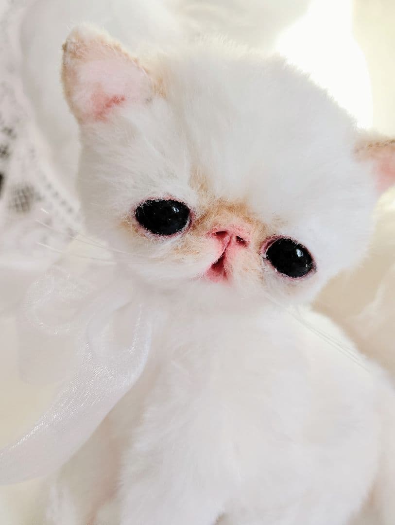 エキゾチック子猫ちゃん♡くりりんオメメ♡アートドール♡ぬいぐるみ♡