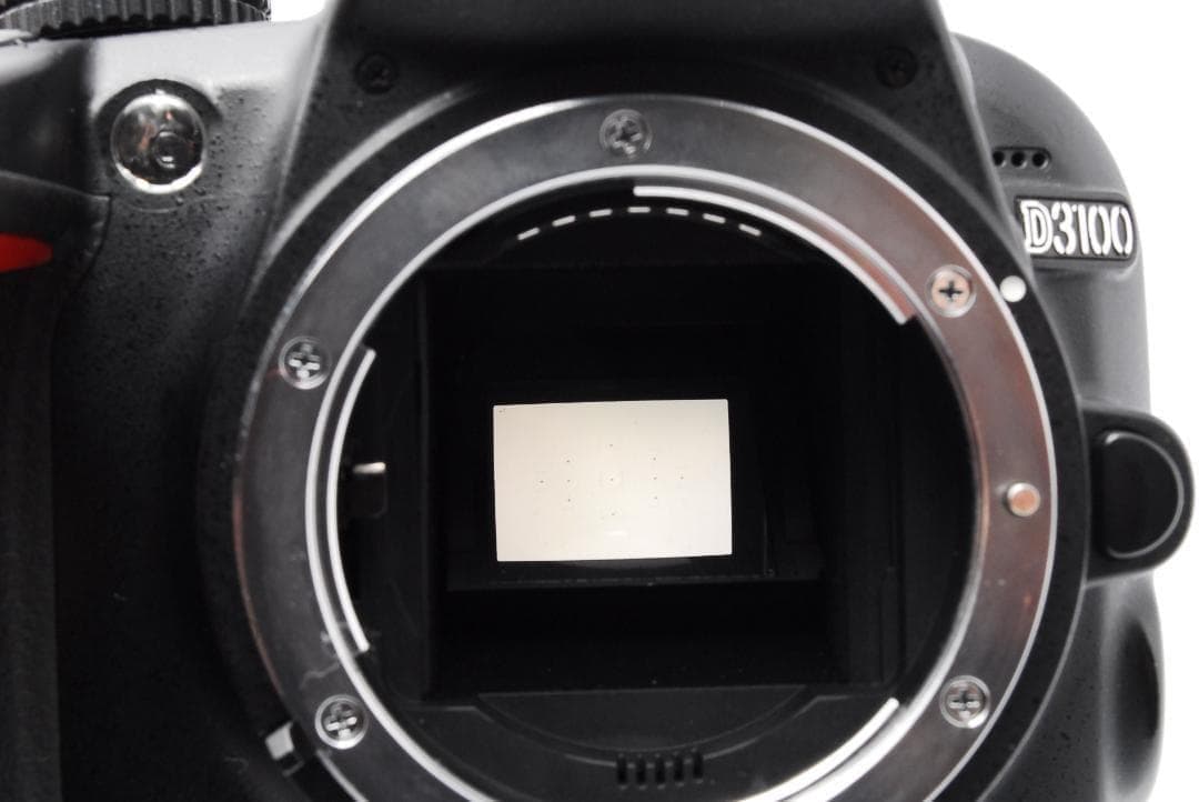 カメラデビューセット❤️Nikon D3100 ダブルレンズ 初心者 入門機