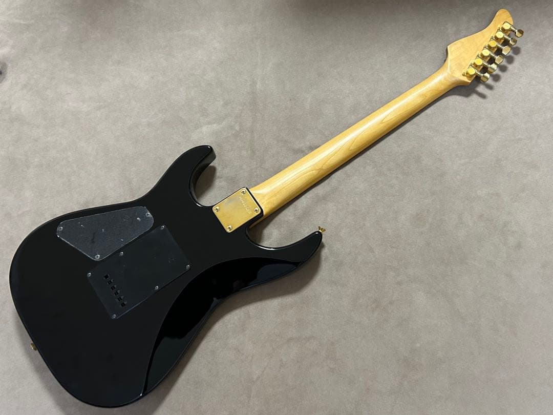 Fuga Guitars fernandes フェルナンデス エレキギター