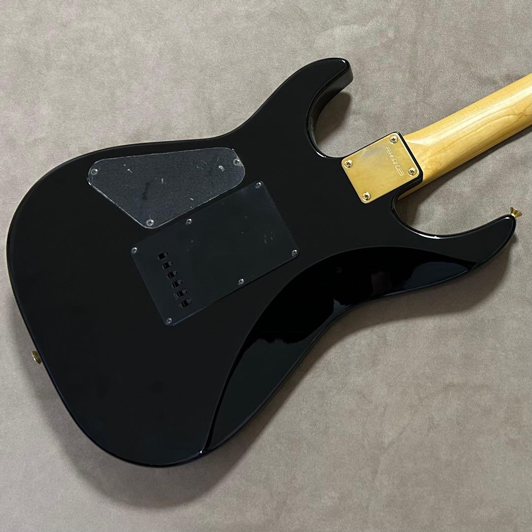 Fuga Guitars fernandes フェルナンデス エレキギター