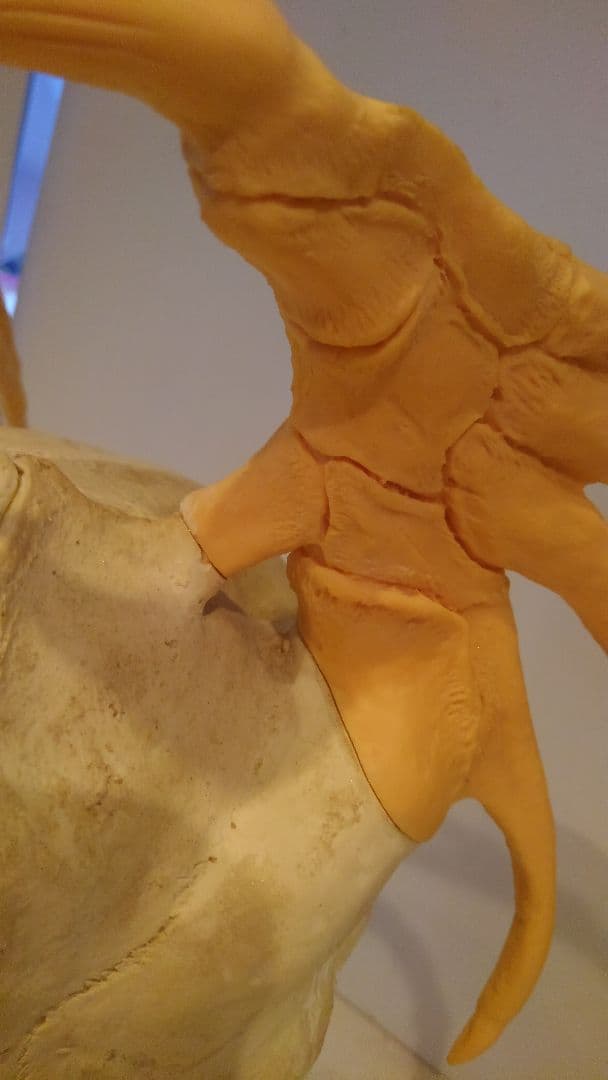 激レア　フューチャーモデルズ　デビルマン　スカル　1/1  佐川博士　制作途中品