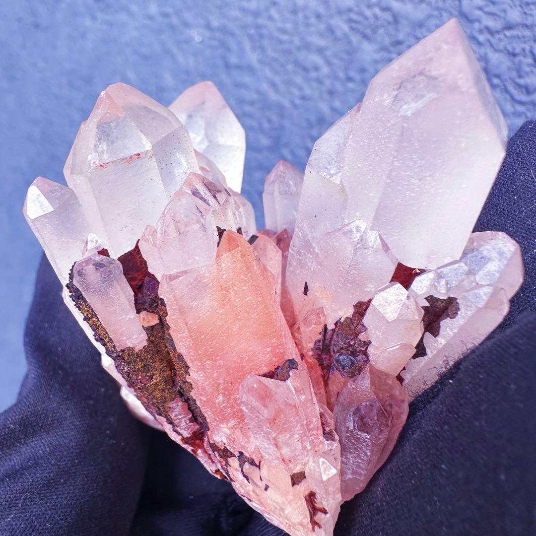 爆アレ❗️可愛いピンク♡超綺麗マダガスカル産パイナップルピンククラスターA1468