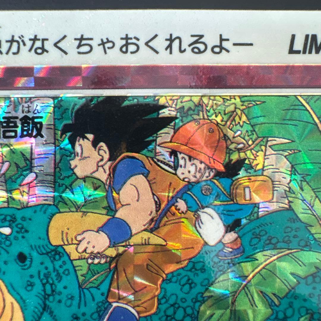 ドラゴンボール カードダス リミテッド3000 限定第1弾 ∞孫悟空&悟飯
