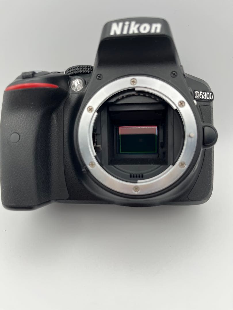 『完動品』Nikon D5300 ＋ AF-P 18-55mmVR レンズキット