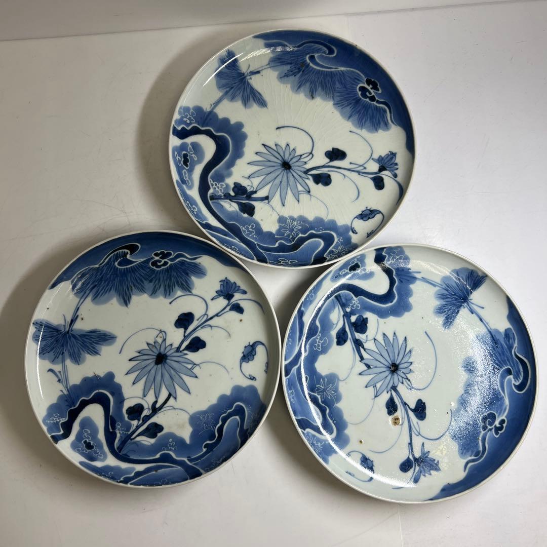 古伊万里　染付中皿6枚　木箱付　直径約20㎝　東Y8-0220②