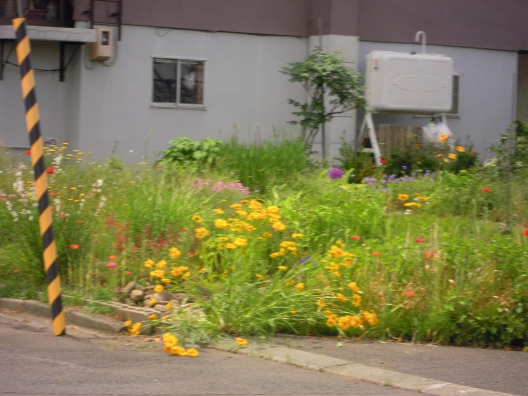 Nikon COOLPIX S5100 レッド