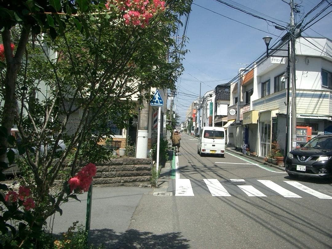 実写美⭕️【動作確認済】 CASIO EXILIM ZOOM EX-Z3