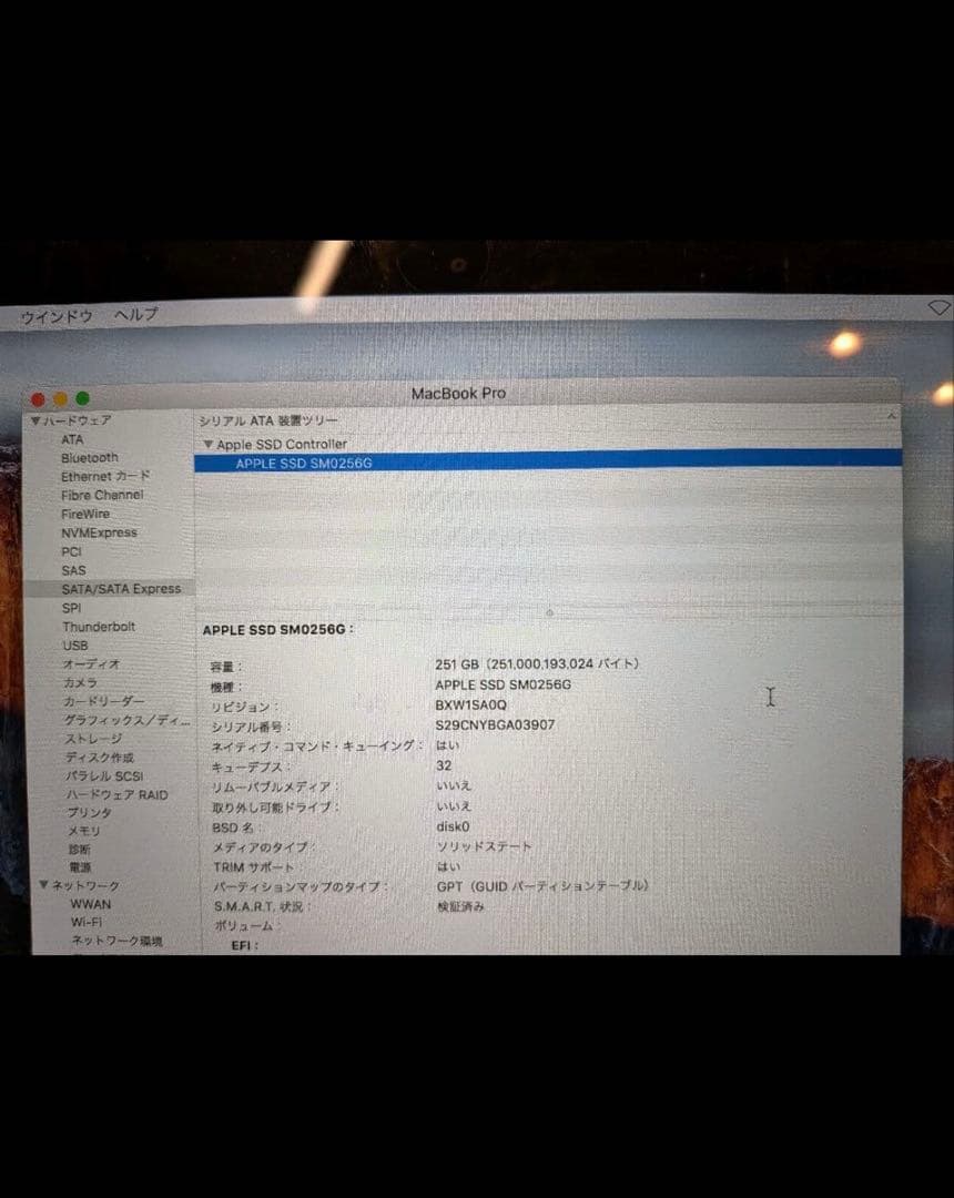 MacBook本体 MacBook Pro 256GB 2015