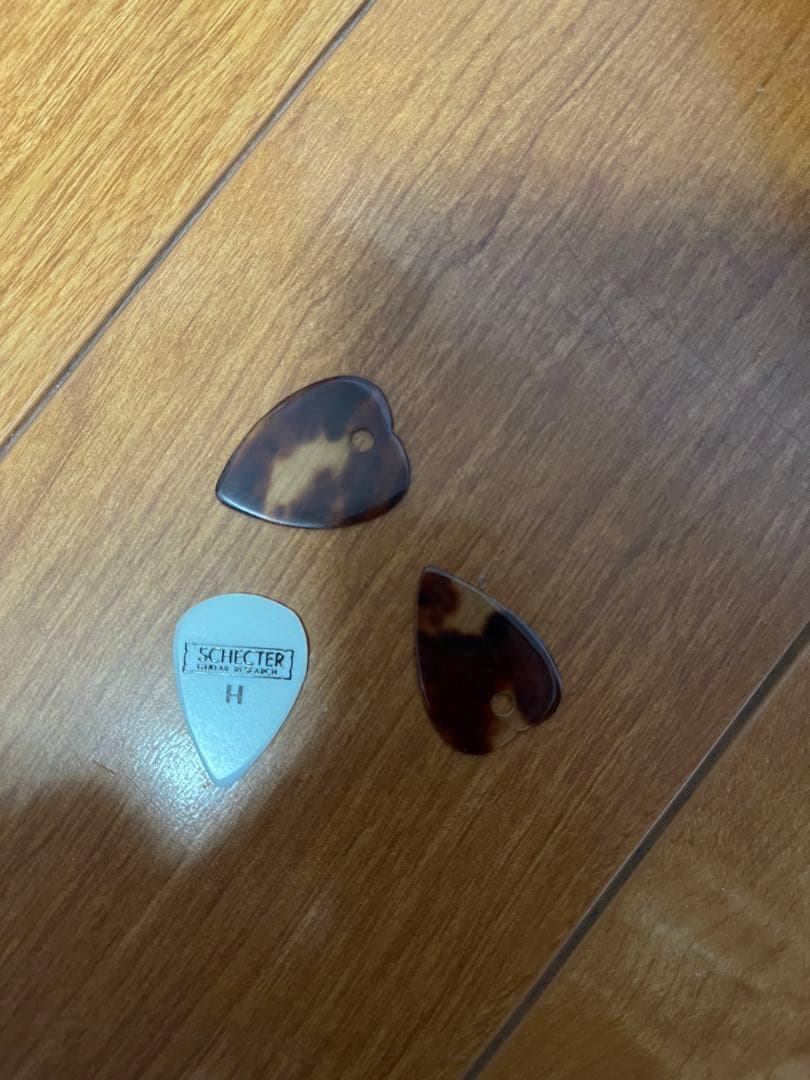 中古 マンドリン 渡邊精次 anno 1995 ケース付き 鍵付き