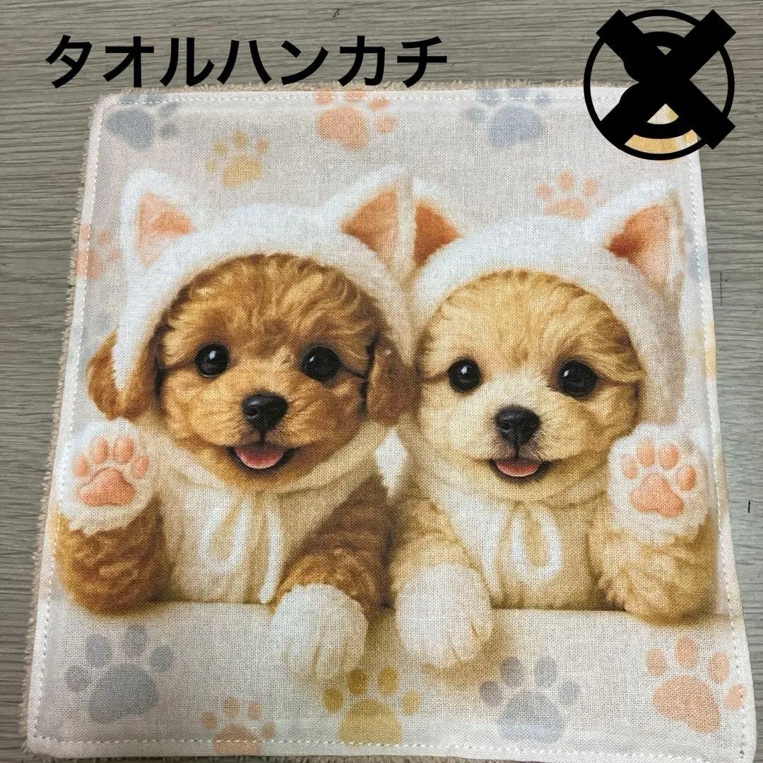 確認用　プレゼント
