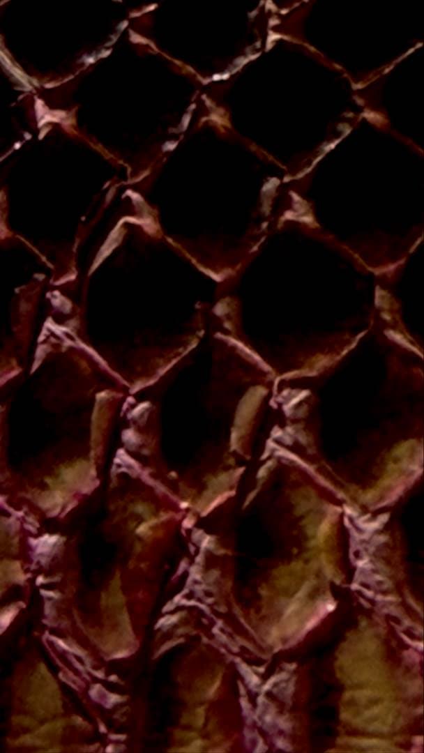 桃蓮玉 白蛇運気からのメッセージ毒蛇の報復運命総奪還