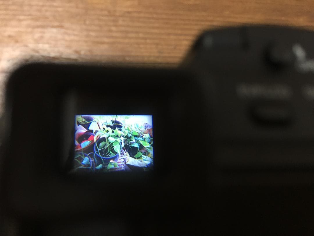 良品 撮影画像あり　Panasonic　DMC-FZ5　付属品あり　動作良好