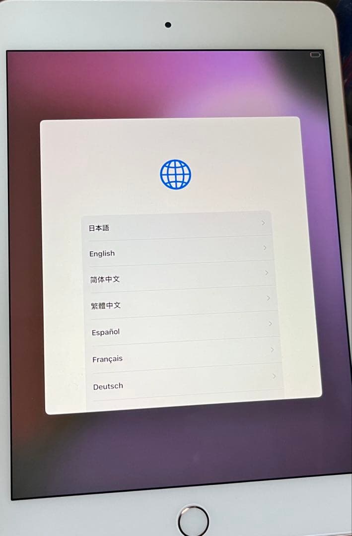 【ジャンク】Apple iPad mini (第5世代) 256GB