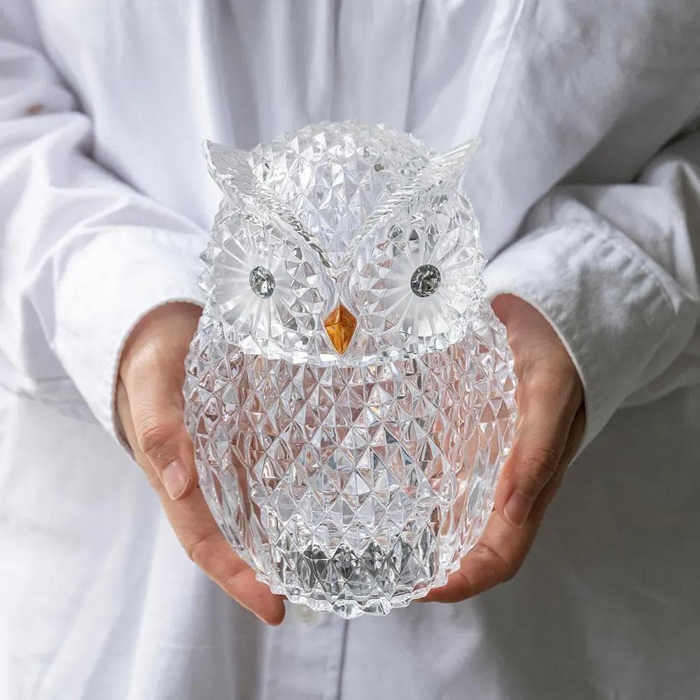 LEDライト付　小物入れ　フクロウ　クリア