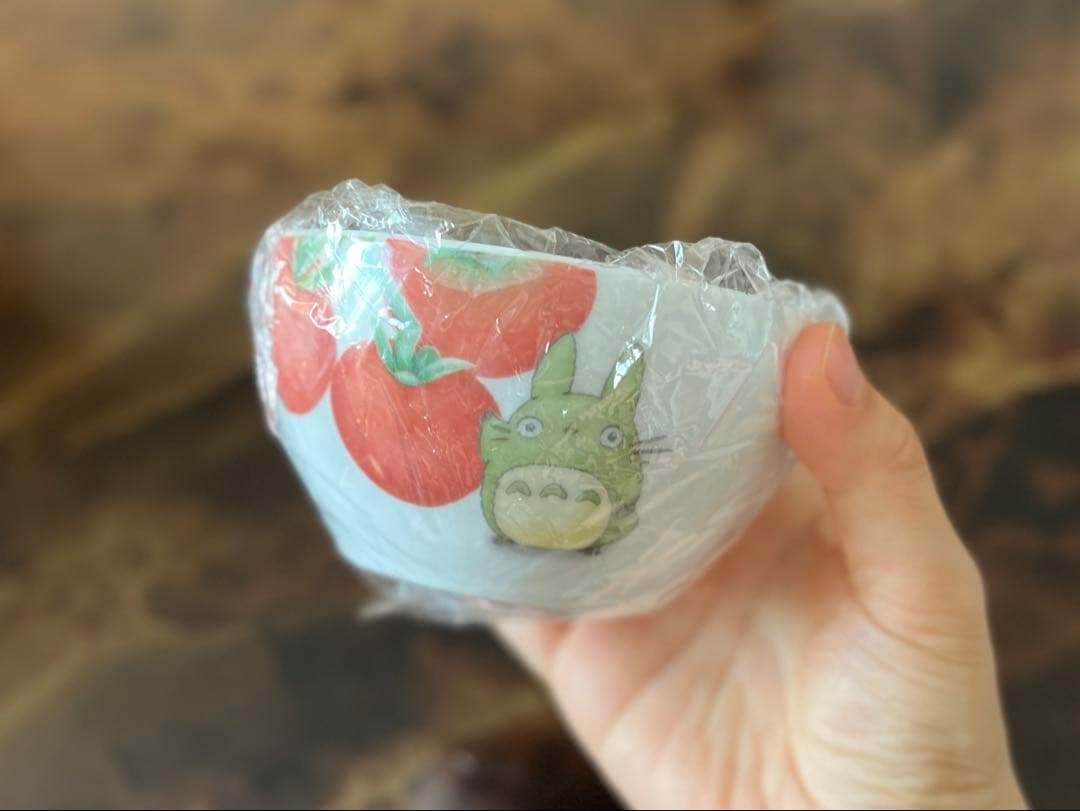 noritake となりのトトロ 野菜シリーズ プレート ボウル　6点セット