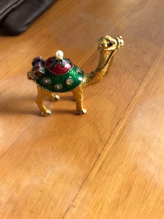 エジプトのグルデンラクダ